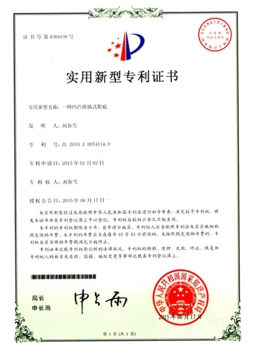 刘春雪专利证书